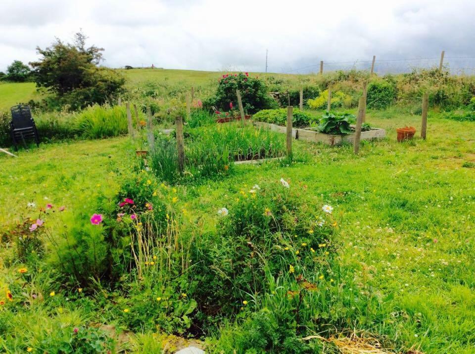 Holland House Bed & Breakfast Ballyshannon Dış mekan fotoğraf
