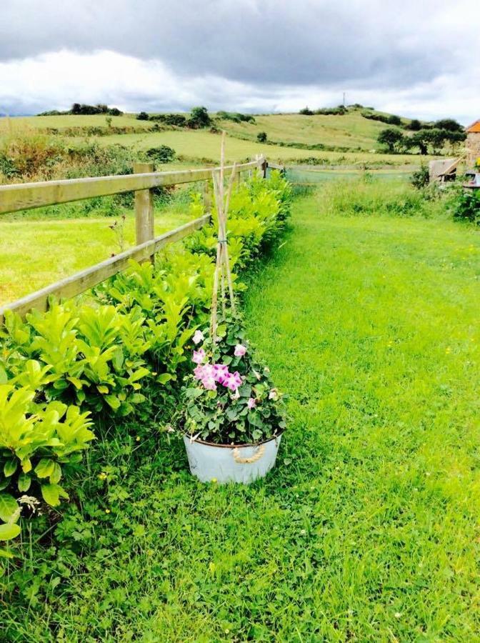 Holland House Bed & Breakfast Ballyshannon Dış mekan fotoğraf